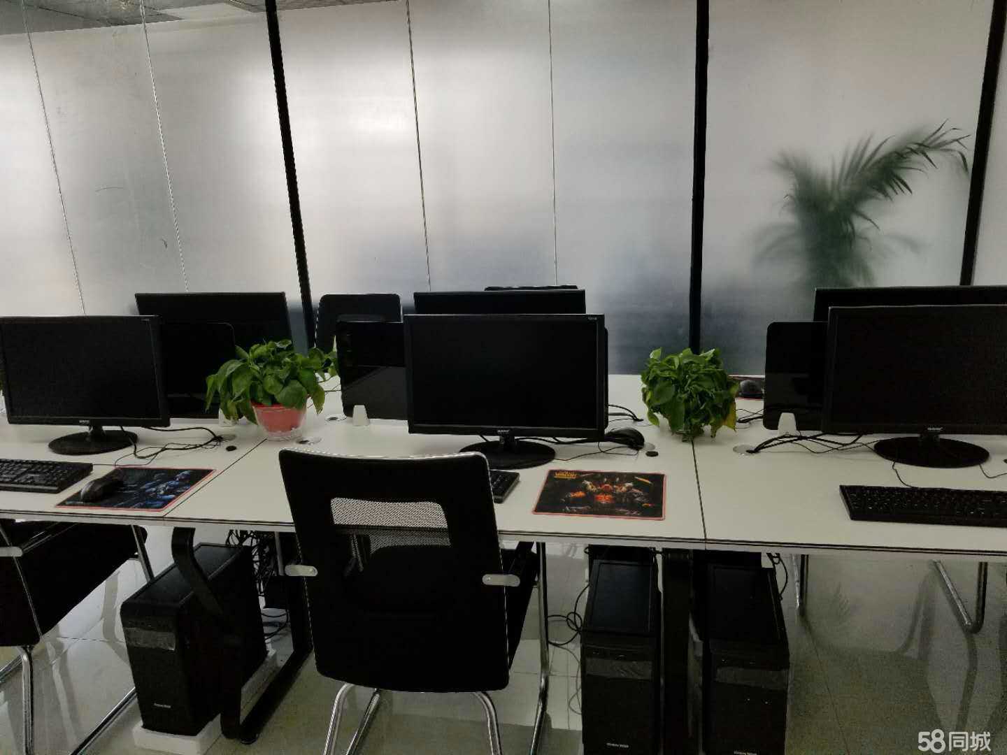 驻马店市睿利网络科技有限公司 区域数字化转型的创新力量
