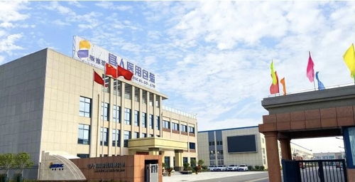 绿色浪潮中的信科先锋 东至逐绿前行促发展信息科技有限公司的创新之路